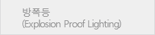 방폭등