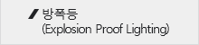 방폭등
